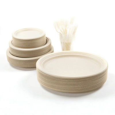 Bagasse Pulp Tableware Product